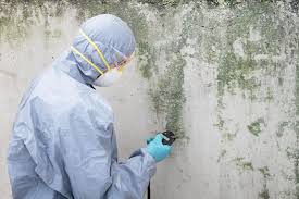 Trusted Manorville, NY Mold Removal & Remediation Experts